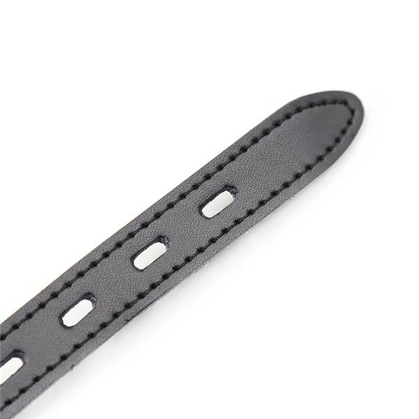 SILICONE BALL GAG WITH LEATHER BELT (PADLOCK INCLUDED)