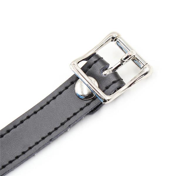 SILICONE BALL GAG WITH LEATHER BELT (PADLOCK INCLUDED)