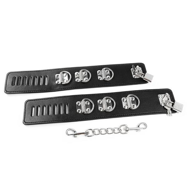 HASP-STYLE ANKLE RESTRAINTS