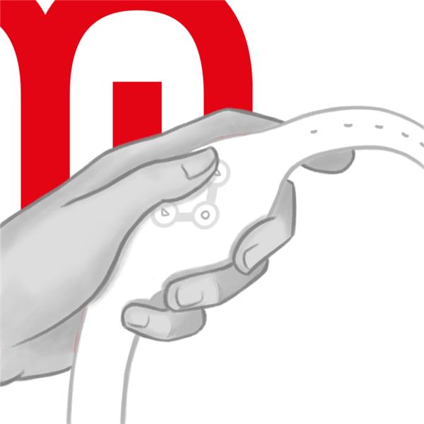 WIRELESS TECHNOLOGY WATCH SNOWY