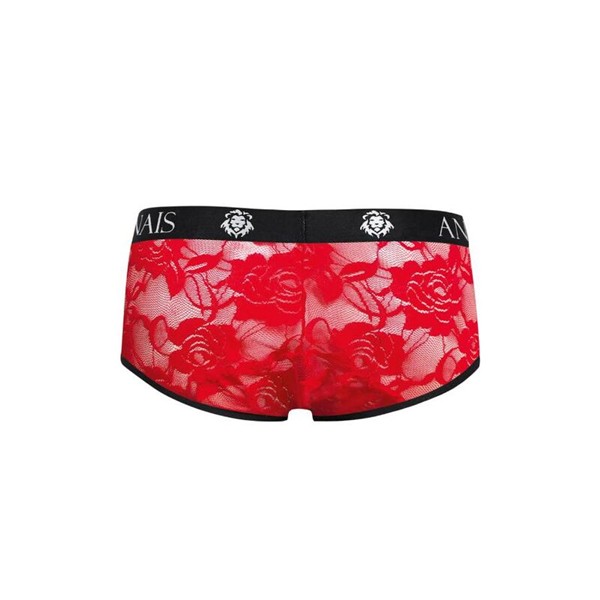 BRAVE BRIEF S