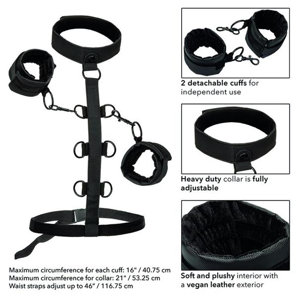 BOUNDLESS COLLAR BODY RESTRAINT