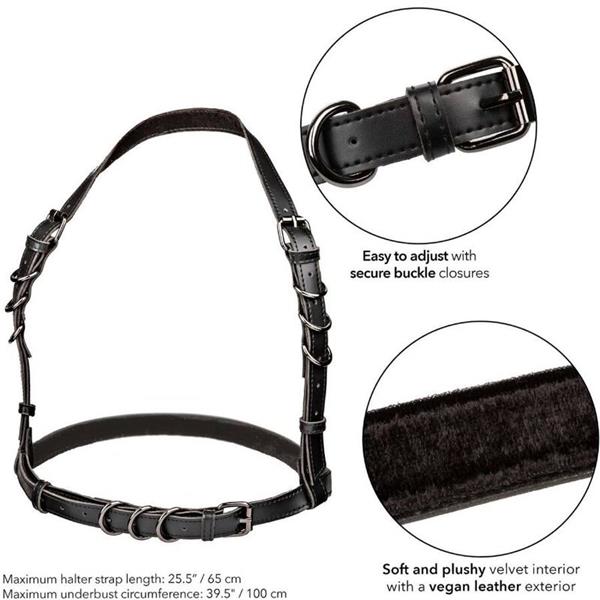 EUPHORIA HALTER BUCKLE HARNESS BLACK