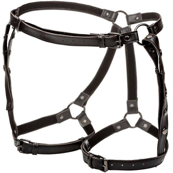 EUPHORIA PLUS SIZE RIDING THIGH HARNESS