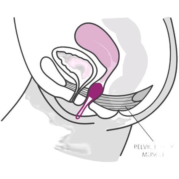 SMARTBALL UNO PELVIC BALL WHITE / GREEN PISTACHIO