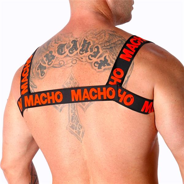 DOUBLE RED HARNESS