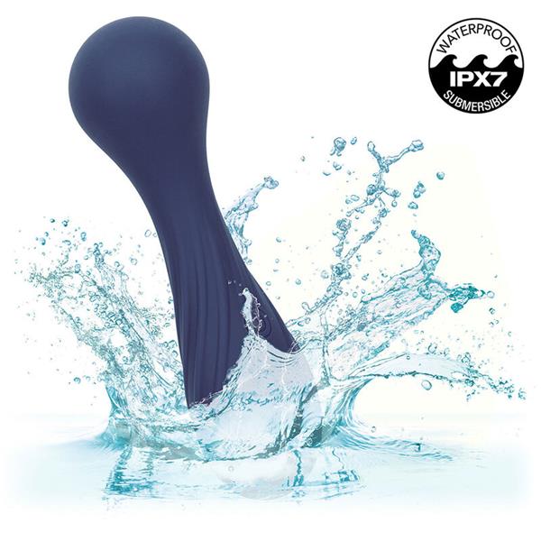 CHARISMA TEMPTATION MASSAGER 12 FUNCTIONS PURPLE