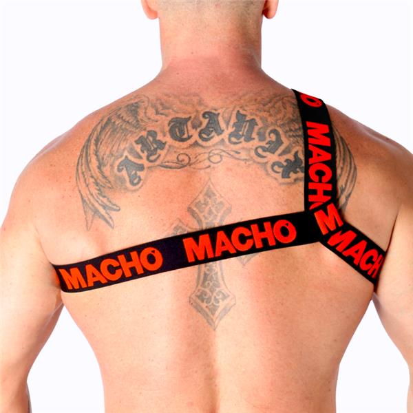 ROMAN HARNESS WHITE S/M