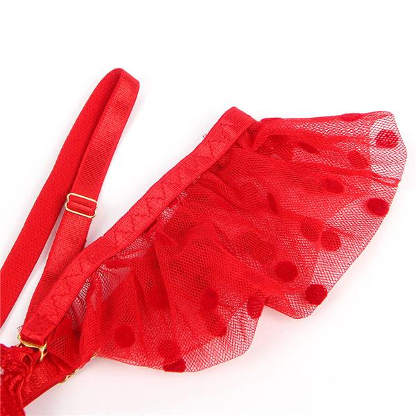 957506  LACE BRA AND GARTER SET RED S/M