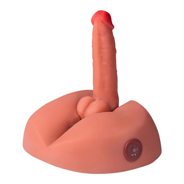 HONEY REALISTIC DILDO MASTURBATOR WITH VIBRATION 25 CM