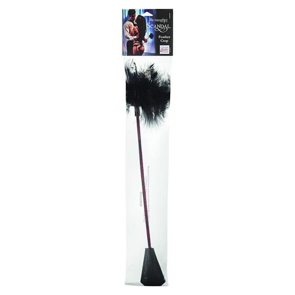 SCANDAL BLACK FEATHER WHIP
