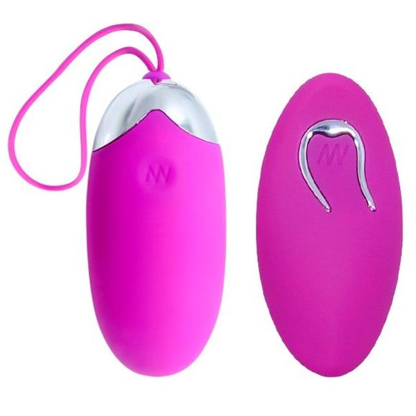 EGG BERGER REMOTE CONTROL 12 V