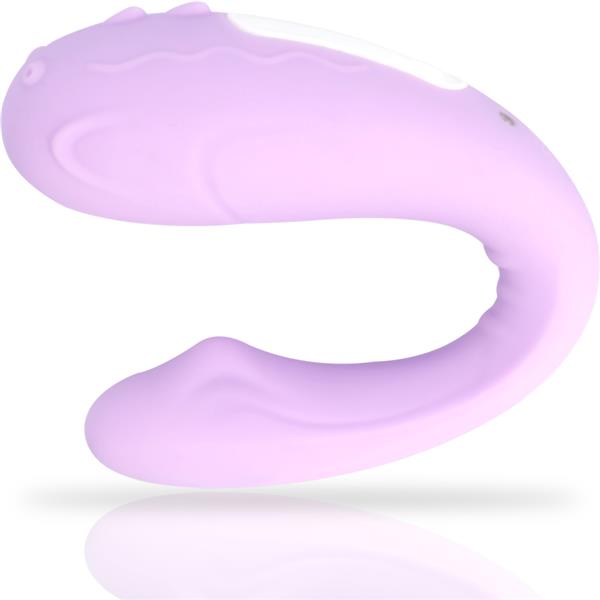 RIN REMOTE CONTROL PARTNER
