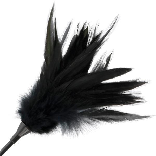 BLACK FEATHER WHIP