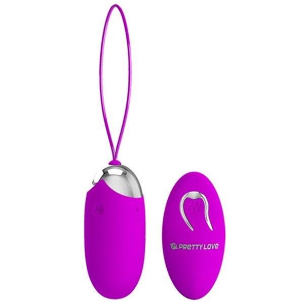 EGG BERGER REMOTE CONTROL 12 V