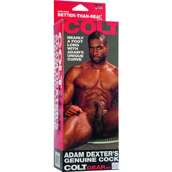 COLT ADAM DEXTERS COCK