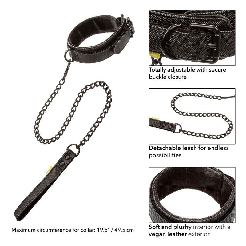 BOUNDLESS COLLAR AND LEASH