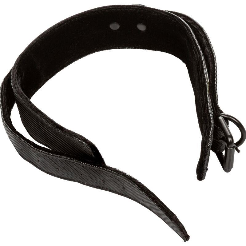 BOUNDLESS COLLAR AND LEASH