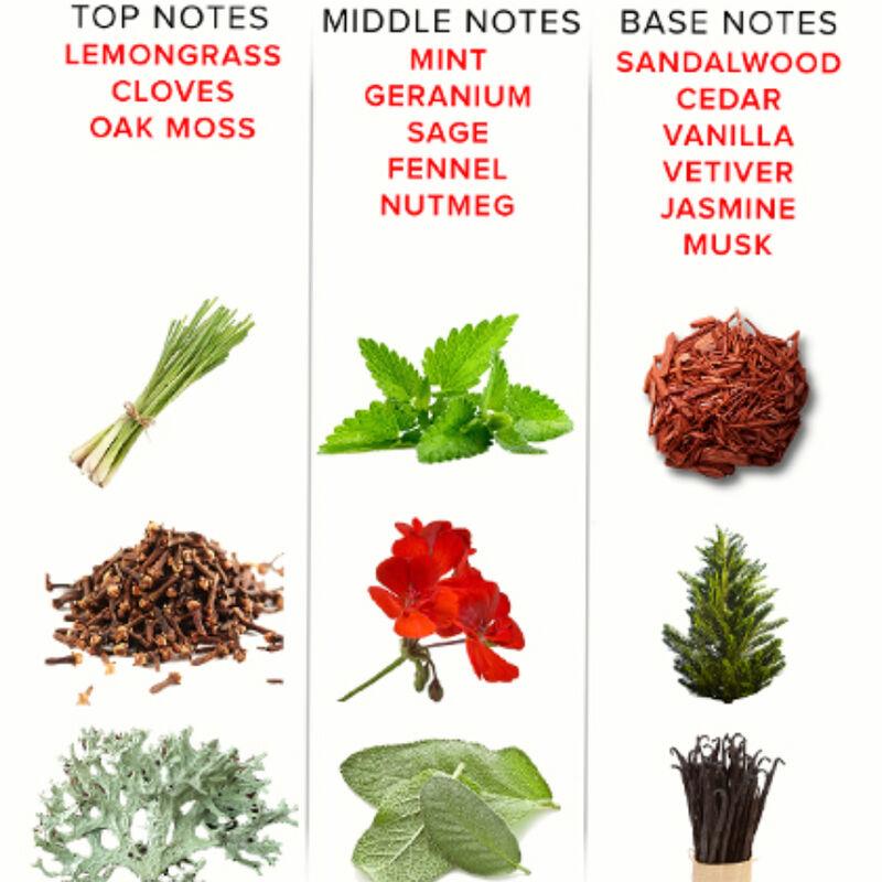 EOL PHR PARFUM DELUXE 50 ML - ROMANTIC