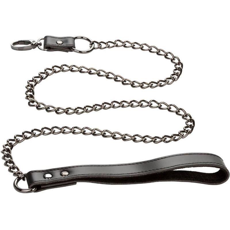 EUPHORIA COLLAR WITH CHAIN LEASH