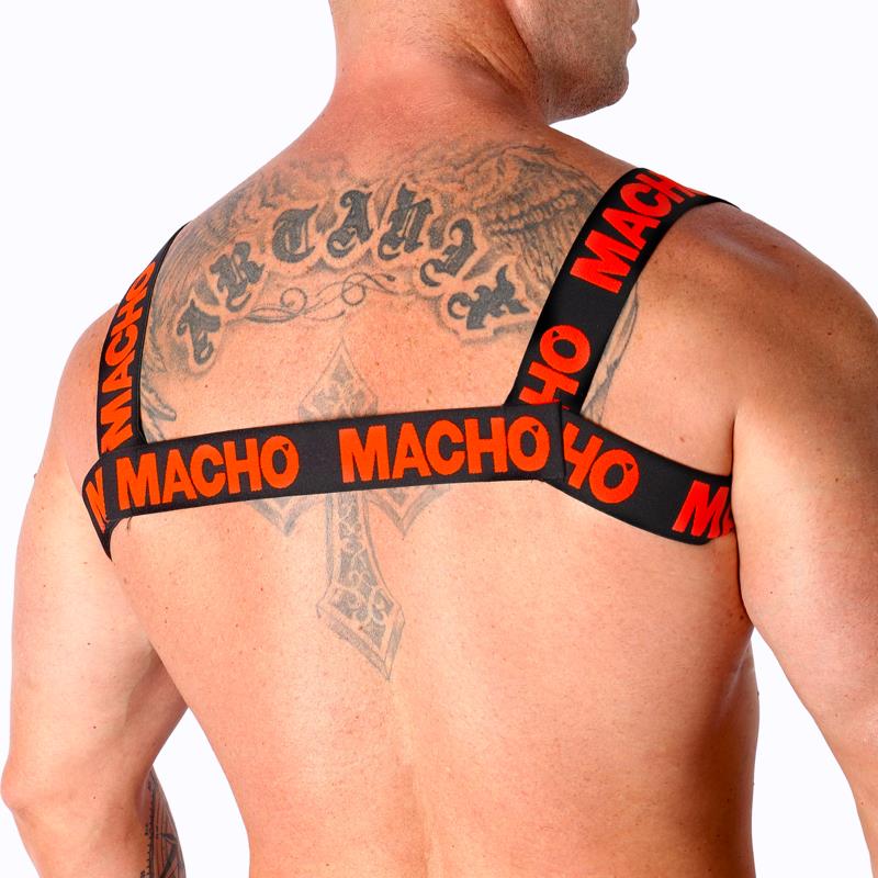DOUBLE RED HARNESS