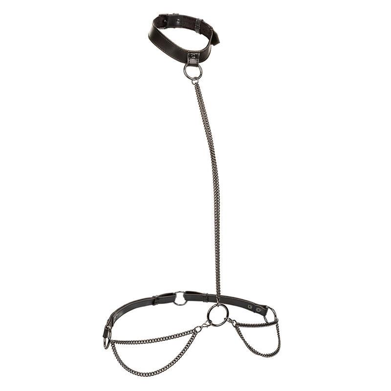 EUPHORIA CHAIN HALTER COLLAR & LEASH
