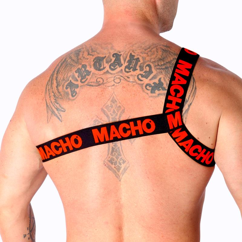 ROMAN HARNESS WHITE S/M