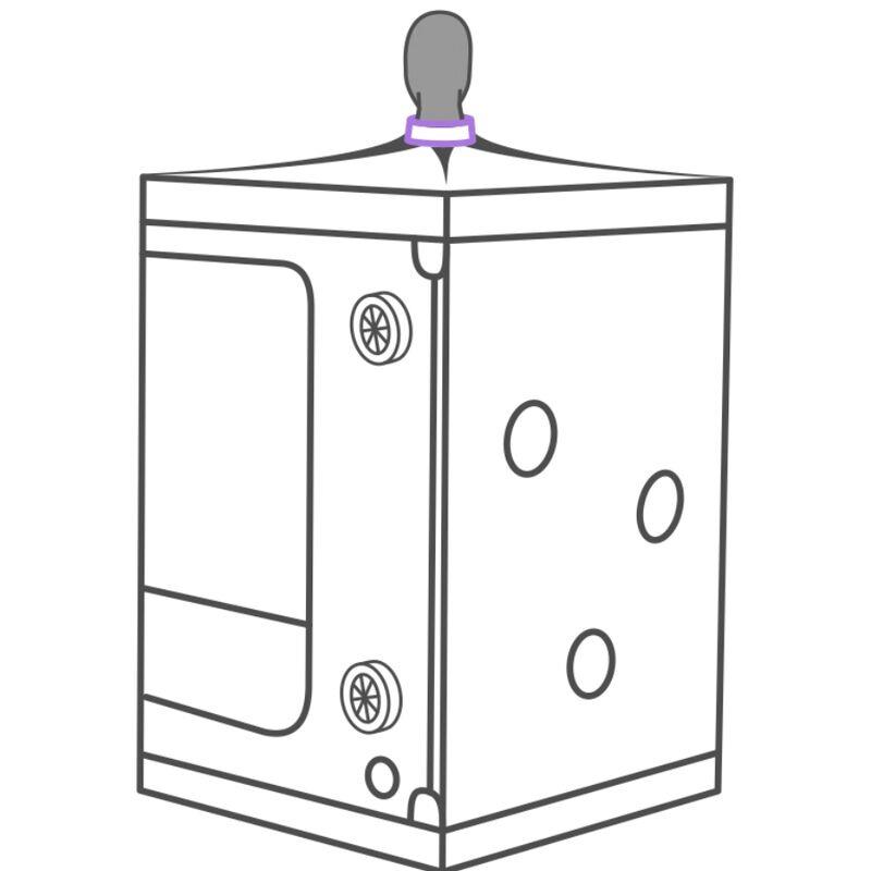 KINK CLUB CABIN SCANDALE PURPLE