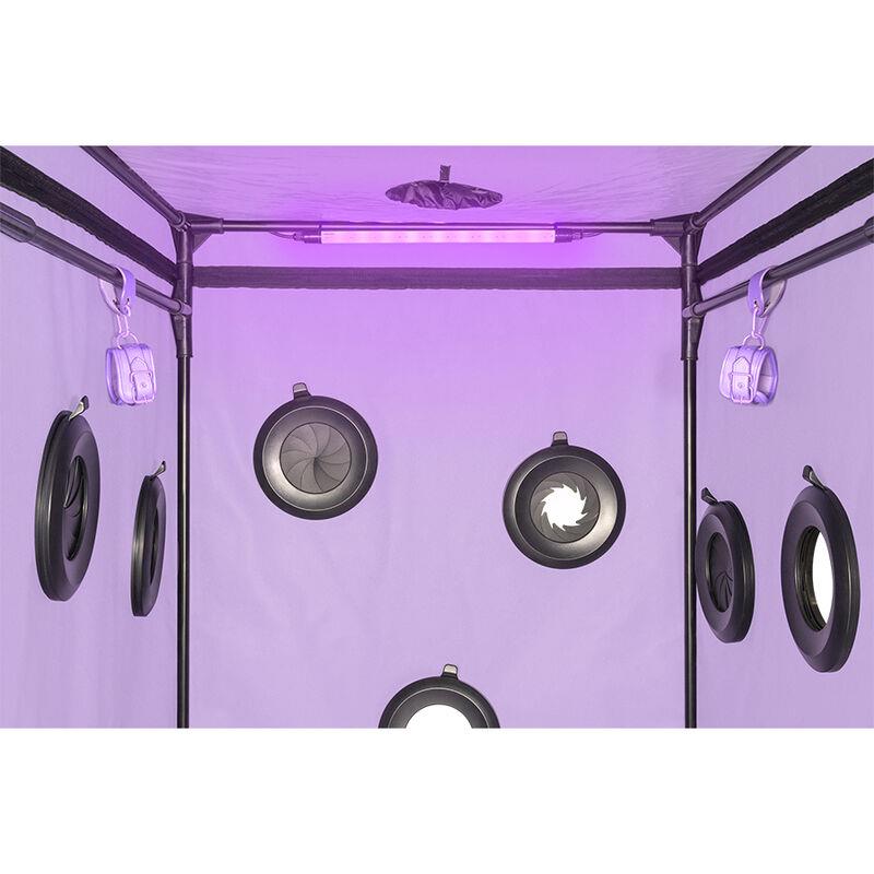 KINK CLUB CABIN SCANDALE PURPLE