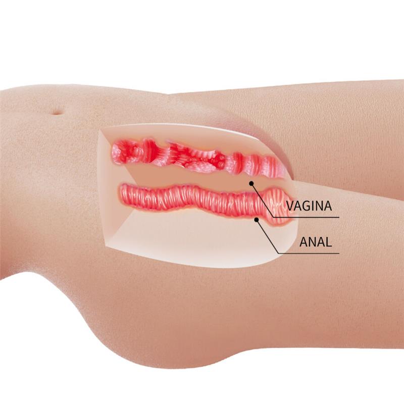 MIA REALISTIC FEMALE TORSO VAGINA AND ANAL 8.5 KG