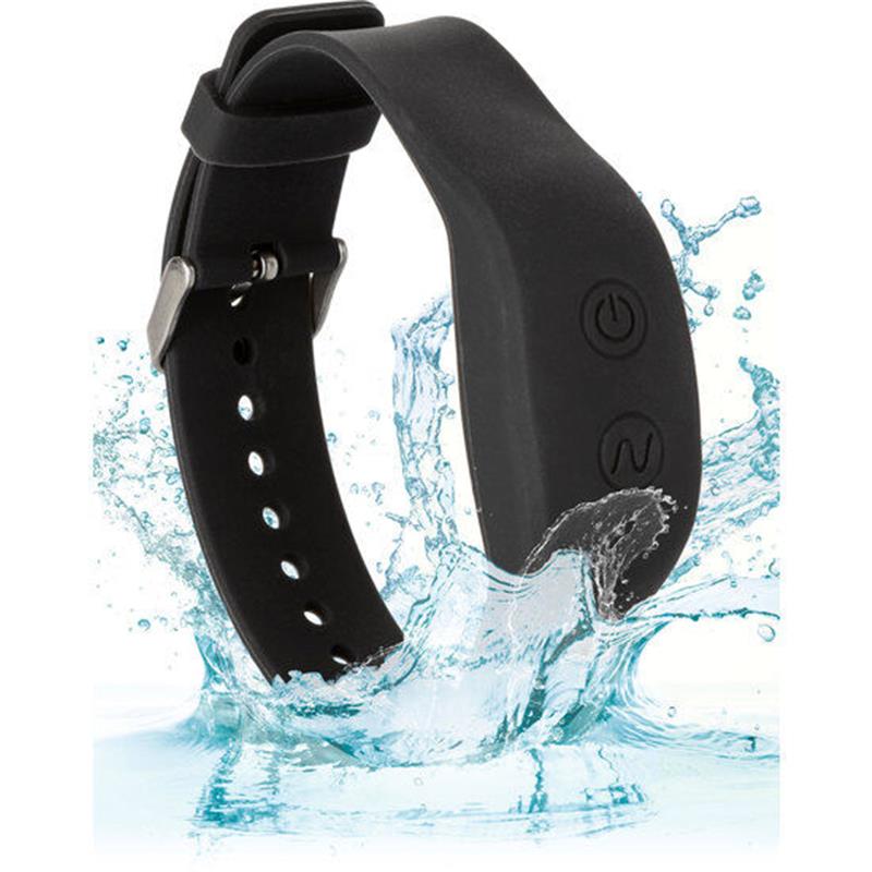WRISTBAND REMOTE ACCESSORY