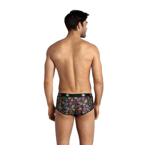 MEXICO BRIEF S