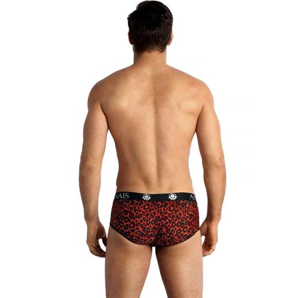 TRIBAL BRIEF S