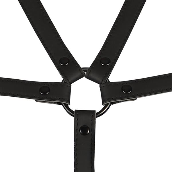 ADJUSTABLE HARNESS TORSO AND ARMS