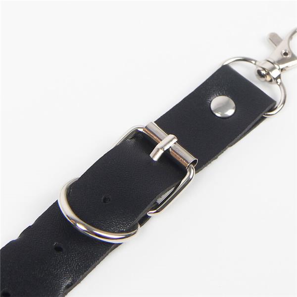 PAS IN DRŽALO Z OBROČI IN VERIGAMI ENA VELIKOST