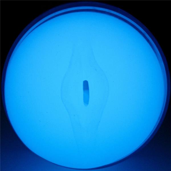 FEEL GLOW IN THE DARK STROKER