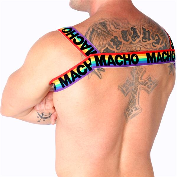 DOUBLE HARNESS PRIDE LIMITED