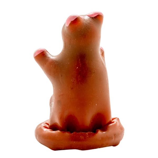 ROČNO POSLIKANI NOVOSTNI KONDOMI MEDVEDEK TEDDY