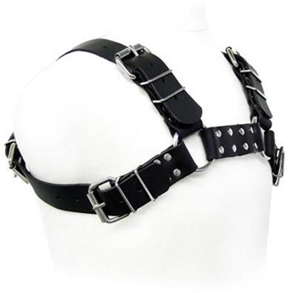 BLACK BULL DOG HARNESS