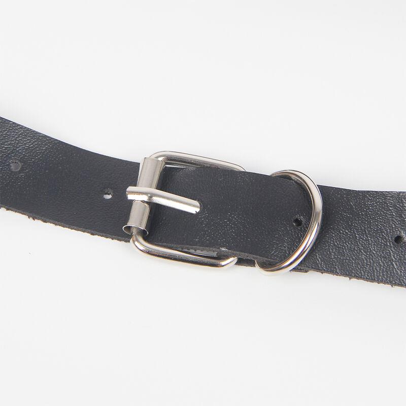 HARNESS S REMENJIMA I PRSTENJIMA JEDNA VELIČINA