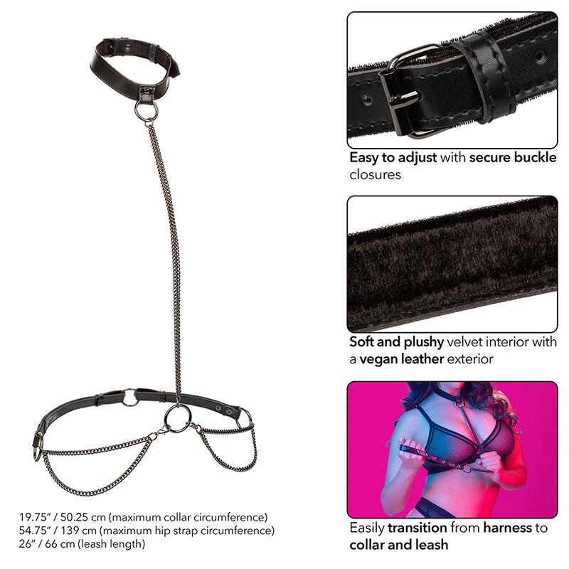 EUPHORIA CHAIN HALTER COLLAR & LEASH PLUS SIZE