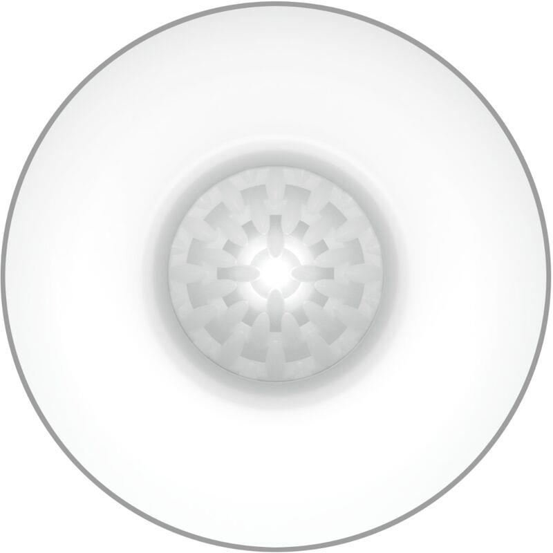 MALE MASTURBATOR EGG WHITE