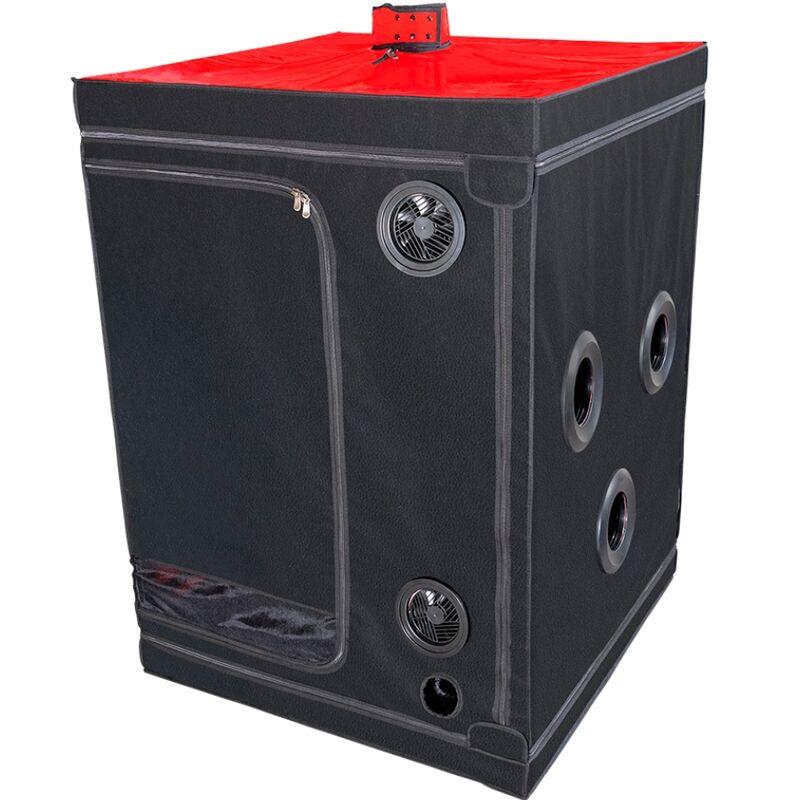 KINK CLUB CABIN SCANDALE BLACK & RED